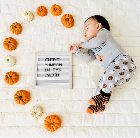 Fall Pictures For Newborns, 6 Months Halloween Pictures, Infant October Photos, Halloween Photoshoot Baby And Toddler, One Month Pumpkin Pictures, Pumpkin 6 Month Pictures, 1 Month Old Pumpkin Pictures, Fall Newborn Hospital Pictures, 1 Month Halloween Photoshoot