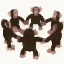 Manifesting Circle, Monkey Gif, Dancing Monkey, Monkey Dance, Prayer Circle, Dance Monkey, Newt, Monkeys, Bowling