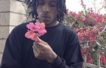 #dreadlocks #rose #sweater Chris Travis, Rose Sweater, Short Videos, Dreadlocks, Created By