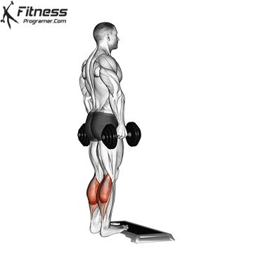 Bodybuilding Leg Workout, Calf Raises Exercise, Best Calf Exercises, Great Leg Workouts, Full Leg Workout, Shoulder Workout Routine, Standing Calf Raise, Free Workout Plans, Best Leg Workout