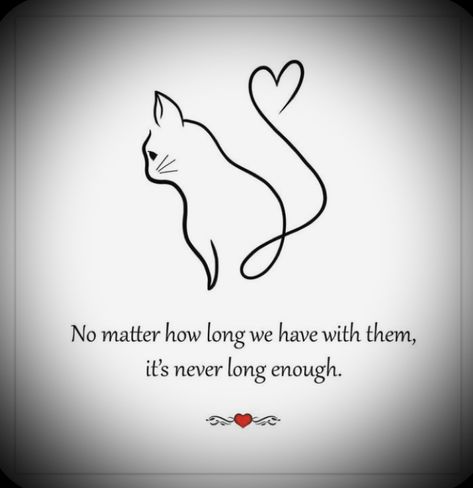 ￼ Missing Pets Quotes Cat, Cat Memorial Drawing, Losing Cat Quotes, Cat Passing Quotes, Sympathy Cat Loss, Loss Of A Cat Sayings, Losing A Cat Quotes Comforting Words, Cat Died Quote, Losing A Pet Quote Cat