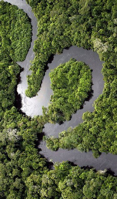 Rio Amazonas, Brazil Amazing Places To Visit, Lake George Ny, Amazon River, Amazon Rainforest, Lake George, Bossa Nova, Birds Eye View, Aerial Photography, Amazing Places