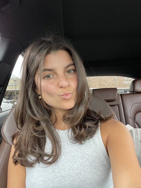 Medium Brunette Hair, Summer Haircut, Rambut Brunette, Layered Haircuts For Medium Hair, Brown Hair Looks, Brown Hair Inspo, Hairstyles For Layered Hair, Short Brown Hair, Hair Stylies