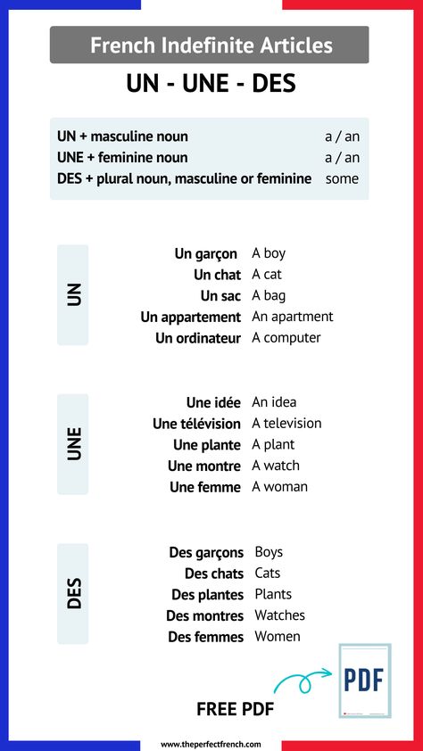 French Grammar Notes, Basic French Grammar, French Grammar Rules, French Sentences With Meaning, French Grammar Worksheets, Grammar French, Articles In French, French Nouns, French Words With Meaning