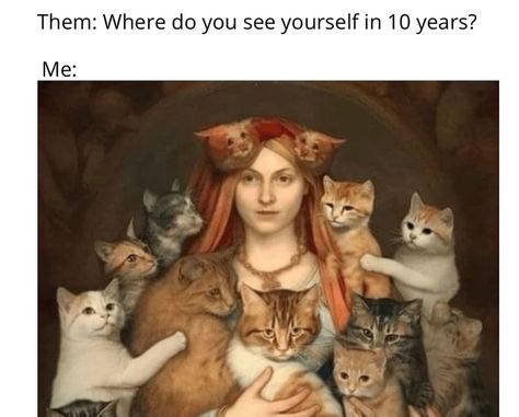 How many cats are in your family now? Cat Lady Humor, Cat Expressions, Cat Language, Custom Cat Portrait, Custom Cat, Cat Portraits, Pics Art, Crazy Cat Lady, Crazy Cats