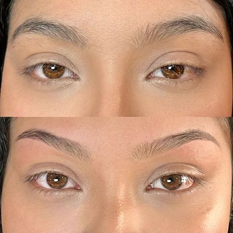 Sophia | Classic brow shaping, keeping thickness, evening out the high points, and following her natural brow shape, love! April books are full, May… | Instagram Soft Arch Eyebrows Shape, High Arch Brows, Soft Arch Brows, S Shaped Eyebrows, High Arched Eyebrows, Brow Shapes, Straight Brows, Eyebrow Shapes, Arch Brows