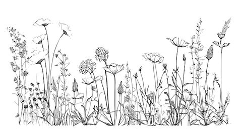 Line Drawing Of Flowers, Wildflower Drawing, Garden Tattoos, Prairie Flower, Wildflower Tattoo, Flower Line Drawings, Landscape Tattoo, Flower Outline, Garden Drawing