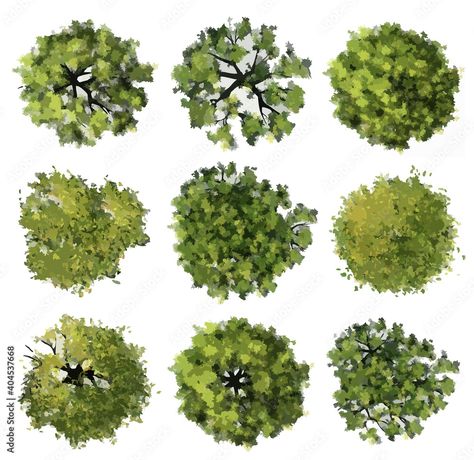 Collection of abstract watercolor green tree top view isolated on white background for landscape plan and architecture layout drawing, elements for environment and garden, green grass illustration Stock Illustration | Adobe Stock Tree Drawing Top View, Layout Drawing Architecture, Tree Top View Watercolor, Tree Illustration Architecture, Architecture Landscape Plan, Trees Plan View, Tree Top View Architecture, Landscape Layout Plan, Trees In Plan