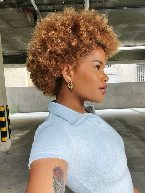 Alissa Ashley, Caramel Blonde Hair, Blonde Afro, Blonde Natural Hair, Short Hair Images, Honey Brown Hair, Natural Hair Short Cuts, Ginger Hair Color, Colored Curly Hair