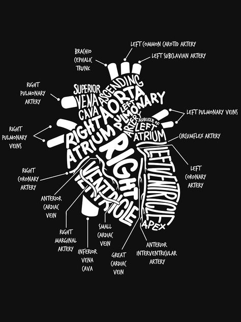Heart Diagram Aesthetic, Anatomical Heart Diagram, Plastic Waste Management, Heart Diagram, Carotid Artery, Handmade Poster, Inspirational Quotes Wallpapers, Quotes Wallpapers, Medical Anatomy