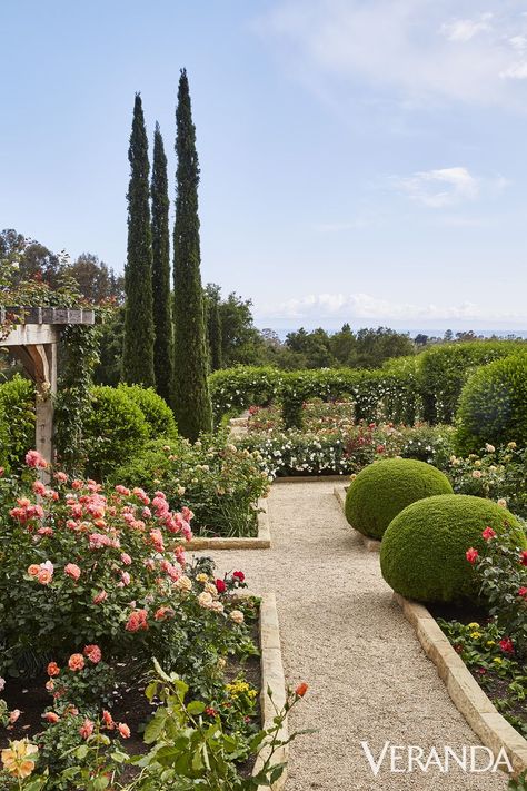 oprah winfrey rose garden Veranda Magazine, Boxwood Garden, Tattoo Plant, Rose Garden Design, California Garden, Rustic Italian, Agave Plant, Italian Garden, Mediterranean Garden