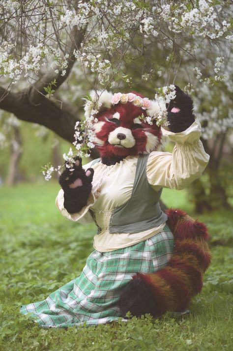 Anteater Fursona, Red Panda Therian Mask, Red Panda Fursuit, Panda Fursuit, Red Panda Fursona, Red Panda Costume, Realistic Fursuit, Fursuit Photography, Fursuit Inspiration