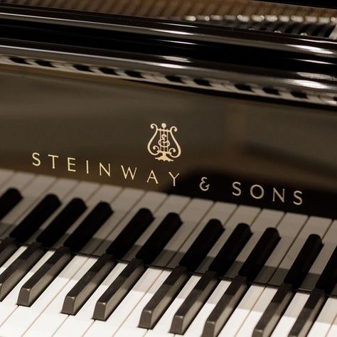 Steinway Grand Piano, Steinway Piano, Home Music Rooms, Grand Pianos, Orchestra Music, Piano Studio, Lalique Crystal, Jelly Fish, Luxe Life