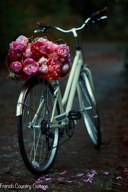 New Year Reflections Bicycle With Flowers, French Country Rug, Muebles Shabby Chic, Modern French Country, French Country Furniture, French Country Bedrooms, French Country Kitchens, Country Cottage Decor, French Cottage