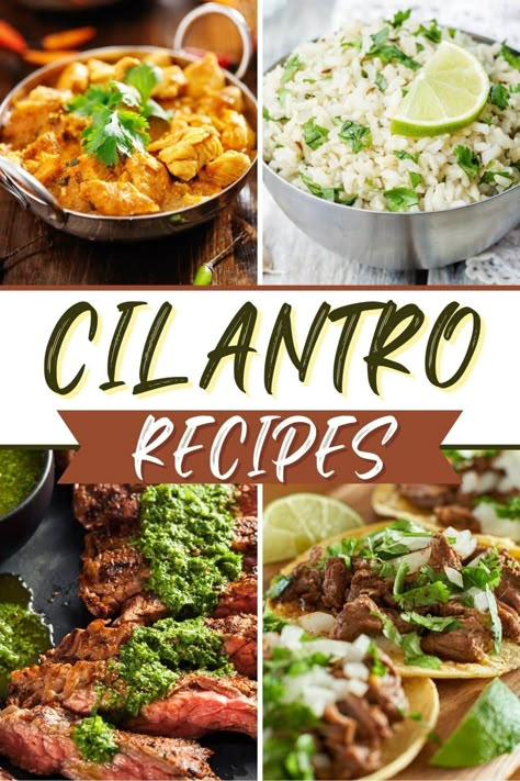 These cilantro recipes are incredible for people who love the herb! From chicken to rice to salad and soup, as long as you don't think cilantro tastes like soap, you'll love these easy dishes. Dinners With Cilantro, Dried Cilantro Recipes, Food With Cilantro, Chicken And Cilantro Recipes, Cilantro Dinner Recipes, Recipes Using Ground Coriander, Recipes Using Fresh Cilantro, Dishes With Cilantro, Recipes With Cilantro Dinners