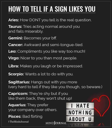 How To Tell If The Zodiac Sign Likes You? How To Give Your Crush Hints That You Like Him, How Do You Know If You Like Someone, Capricorn Characteristics, Zodiac Vibes, November Born, Gemini Characteristics, When You Like Someone, Signs Guys Like You, Zodiac Signs Pictures