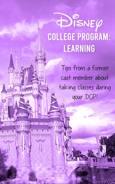 Disney College Program Packing List, Dcp Packing List Disney College Program, Disney College Program Housing, Disney Internship, Outreach Ministry, Ashley Ann, Disney College Program, Disney College, Disney Cast Member