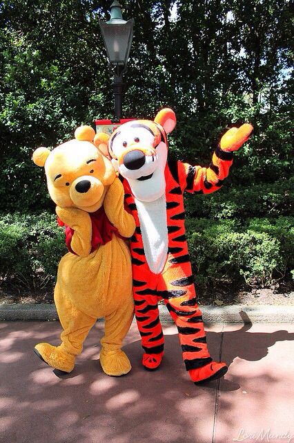 Pooh And Tigger, Disneyland Christmas, Disney World Characters, Cute Winnie The Pooh, Cute Disney Pictures, Winnie The Pooh Friends, Disney Cosplay, Disneyland Park, Disney Photos