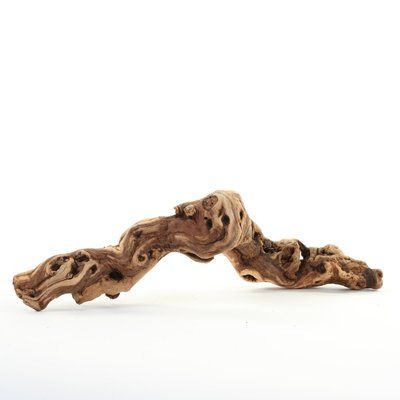 Koyal Wholesale Natural Tumbled Grapewood Branch Sculpture Size: 18" W Branches Table Decor, Branch Sculpture, Grapewood Branch, Reptile Decor, Dry Branch, Console Table Styling, Cement Mixer, Reptile Enclosure, Shelf Styling