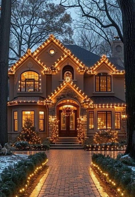 Fabulous Homes, Christmas Outdoors, Lights Decorations, Dream Ideas, Christmas Dreaming, 2024 Goals, Dream Life House, Creative Architecture, Christmas Scenery