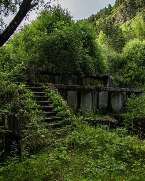 Nature Snap, Aesthetic Environment, Apocalypse World, Apocalypse Aesthetic, Aesthetic Nature, Abandoned Buildings, City Aesthetic, Nature Aesthetic, End Of The World