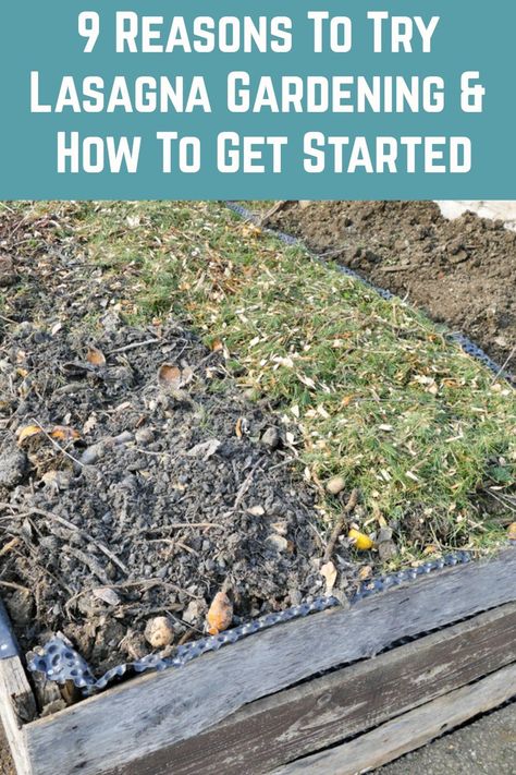 When I discovered lasagna gardening, it changed my life. Here's why you should try it too and how to get started. Lasagna Gardening Layers, Garden Weeder Tool, Lasagna Garden, Bed Layout, Food Forest Garden, Lasagna Gardening, Garden Bed Layout, Garden Watering System, Portable Garden