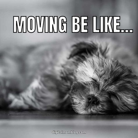 moving away meme Packing Quotes Funny Moving, Moving Quotes Funny Packing And, Moving Memes Funny, Moving Memes Funny Packing, Moving House Quotes Funny, Moving Astethic, Moving Quotes House, Moving Day Humor, Moving Day Quotes