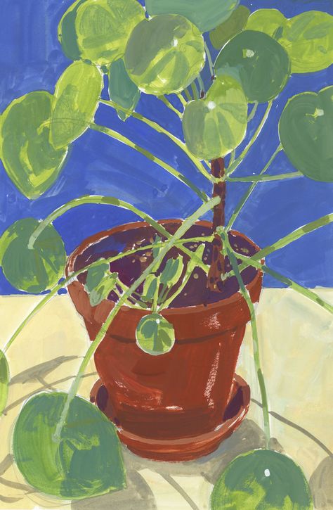 Plant Drawing Watercolor, Plant In A Pot Drawing, Money Plant Painting, Painting Ideas Plants, Plant Painting Ideas, Watercolour Art Ideas Inspiration, Potted Plant Drawing, Plant Art Drawing, Paintings Of Plants