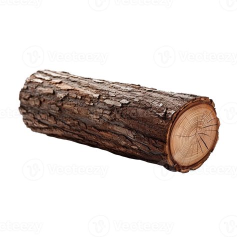 Wooden log as firewood isolated on a transparent background, created with generative AI Wood Log Art, Log Texture, Log Of Wood, Nature Objects, Kids Clothing Store Design, Wood Objects, Wood Png, Photoshop Tutorial Graphics, Wood Illustration