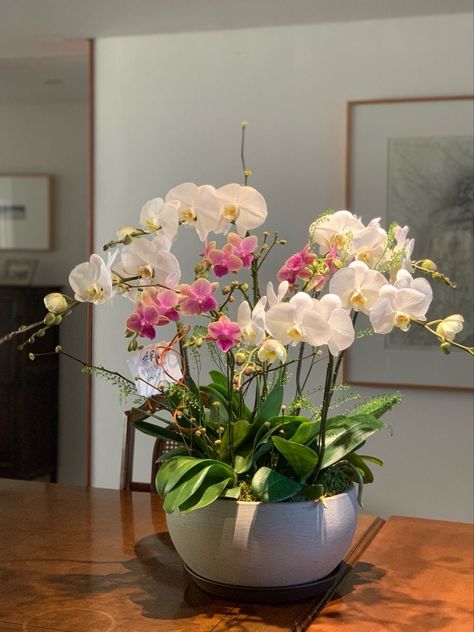 Big Orchid Arrangement, Orchid Vase Arrangement, Orchid Interior Design, Orchid Interior, Orchid Flower Arrangements, Orchid Centerpieces, Flower Vase Arrangements, Orchid Arrangements, Floral Arrangements Diy