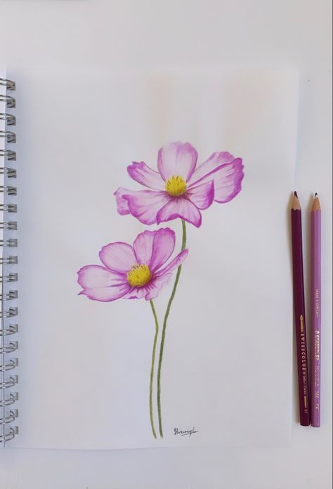 Colored Pencil Drawings Ideas, Flower Bouquet Drawing Color Pencil, Flowers Drawing With Pencil Colors, Flower With Pencil Colours, Colour Pencil Flower Art, Color Pencil Flower Art, Flower Sketches Colored Pencil, Drawing Ideas Colour Pencil Beginner, Color Pencil Art Ideas Simple