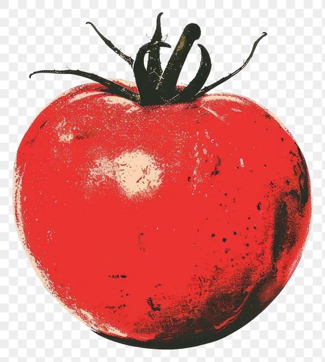 Red Illustration Aesthetic, Vintage Food Illustration, Tomato Png, Tomato Aesthetic, Tomato Sticker, Tomato Graphic, Tomato Illustration, Food Collage, Vegetable Illustration