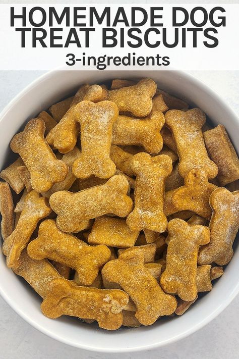 Pumpkin Dog Treats Without Flour, Pumpkin And Peanut Butter Dog Biscuits, 3 Ingredients Dog Treats, Pumpkin And Coconut Oil Dog Treats, Dog Treats Homemade Easy 3 Ingredients, Dog Treats Homemade Pumpkin Oatmeal, Dog Treats Homemade No Egg, Easy 3 Ingredient Dog Treats, Dog Treats Without Eggs