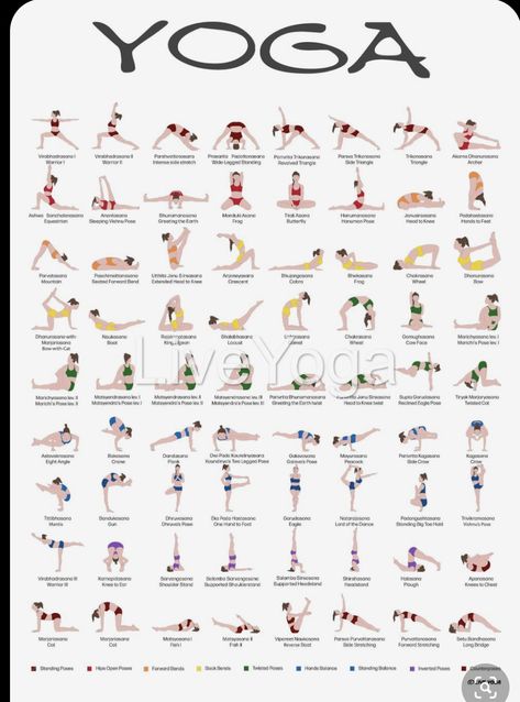 Motivasi Diet, Yoga Ashtanga, Ashtanga Vinyasa Yoga, Yoga Beginners, Yoga Poster, Sup Yoga, Beginner Yoga, Yoga Iyengar, Educational Poster