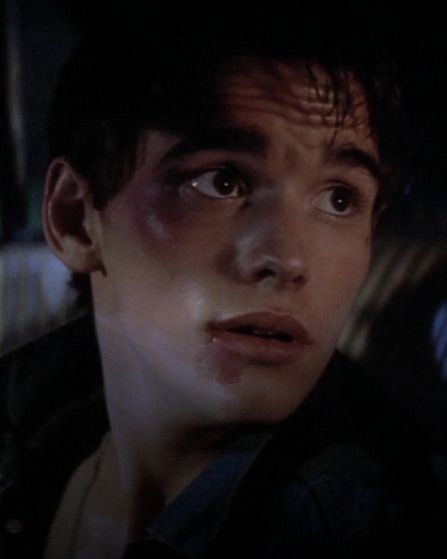 Matt Dillon The Outsiders, Young Matt Dillon, The Outsiders Cast, 80s Actors, The Outsiders Greasers, Dallas Winston, 80s Men, Matt Dillon, Hottest Guy Ever