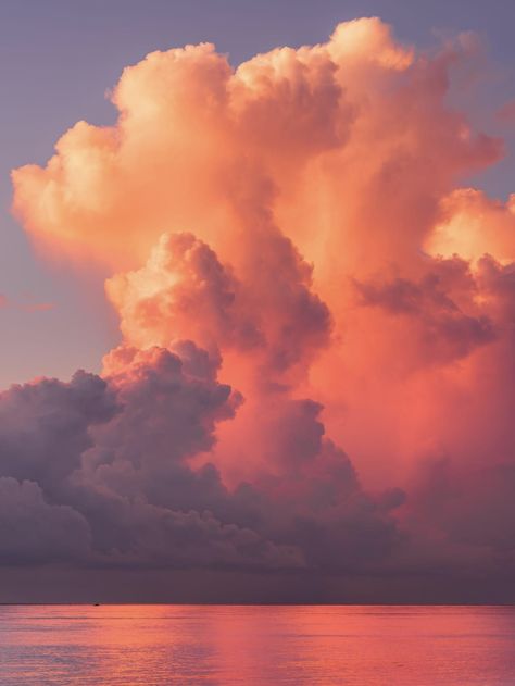 Sunset cumulus clouds over Palm Beach, Florida. Photo: Philip Metlin. Cumulus Clouds Drawing, Clouds Reflected In Water, Sky Reference Photos, Sunrise Clouds Painting, Cloud Reference Photo, Sky And Clouds Aesthetic, Type Of Clouds, Clouds Reference, Sunset Clouds Painting