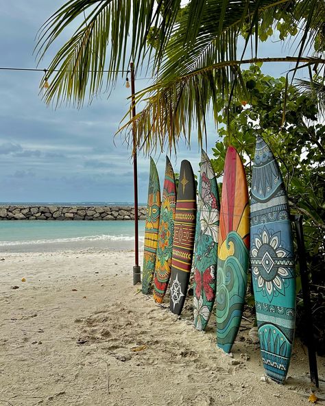 Reset in Maldives ☀️🏝️ #Maldives #Thulusdhoo #travel #trip #journey #beach Thulusdhoo Maldives, Travel Trip, Maldives, Travel