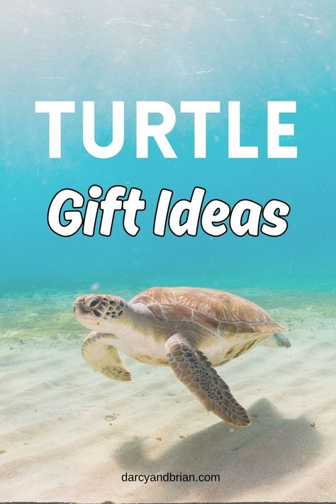 Looking for the best turtle gift ideas for kids, tweens, and teens? This gift guide has you covered with a curated list of turtle-themed presents. From plush toys to cute apparel, discover delightful gifts perfect for birthdays, Christmas, holidays, and special occasions. Make gift shopping easy with our selection of turtle-inspired items that celebrate these fascinating reptiles. Explore now for thoughtful gift options for every turtle enthusiast in your life. Turtle Gift Ideas, Turtle Puns, Printable Games For Kids, Mini Turtles, Gift Ideas For Kids, Turtle Plush, Bff Birthday, Turtle Gifts, Xbox Gifts