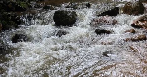 Stream Of River Water Flowing In Nature #AD ,#River#Stream#Nature#Water Water Gif, River Stream, Motion Graphics Typography, Water River, River Water, Flowing Water, Nature Water, Nature Gif, Water Flow