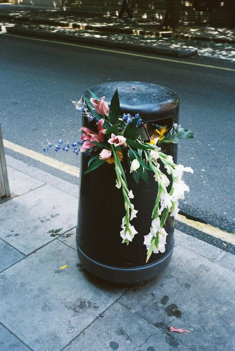 Visuell Identitet, Black Mamba, Photography Inspo, Film Photography, Flower Power, A Black, Sake, Photography Inspiration, Trash Can