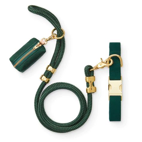 Walk Sets – Page 2 – The Foggy Dog Dog Collar And Leash Set, Foggy Dog, The Foggy Dog, Marine Rope, Rope Leash, Mini Goldendoodle, Collar Leash, Dog Bag, Daily Walk