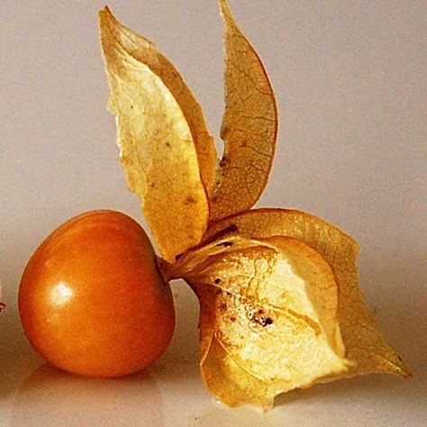 Ground Cherry Ground Cherry, Red Moles, Healthy Life Hacks, Food Facts, Food Network, Health Problems, Mole, Health And Nutrition, Food Photo