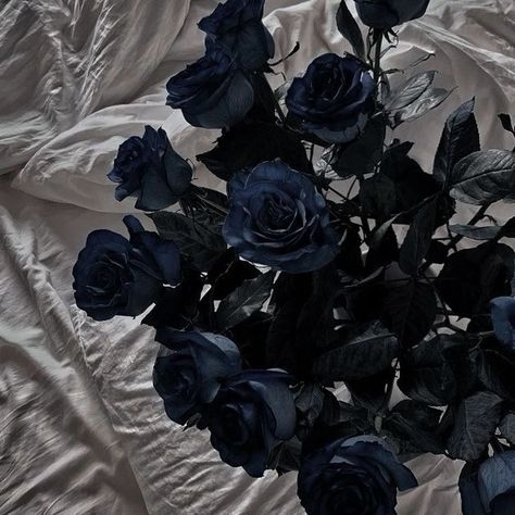 mia sokolov | god of ruin, legacy of gods by rina kent Navy Flowers Aesthetic, Dark Blue Prince Aesthetic, Blue Outside Aesthetic, Blue Flowers Widget, Furina Aesthetic Core, Blue Crown Aesthetic, Dark Blue Rose Aesthetic, Dark Blue Aesthetic Pictures, Navy Blue Widget Aesthetic