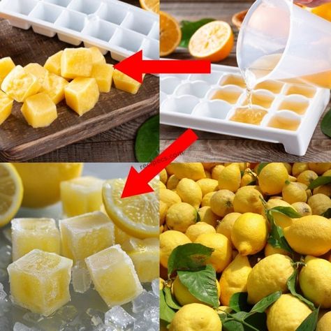 Lemons are a staple in many households, admired for their zesty flavor and bright, tangy punch that can elevate everything from a simple glass of water to a Cream Cheese Stuffed Chicken Breast, Frozen Lemons, Cream Cheese Stuffed Chicken, Lemon Ice Cubes, Freezing Lemons, Stuffed Chicken Breast Cream Cheese, Honey Drink, Cheese Stuffed Chicken Breast, Frozen Lemon