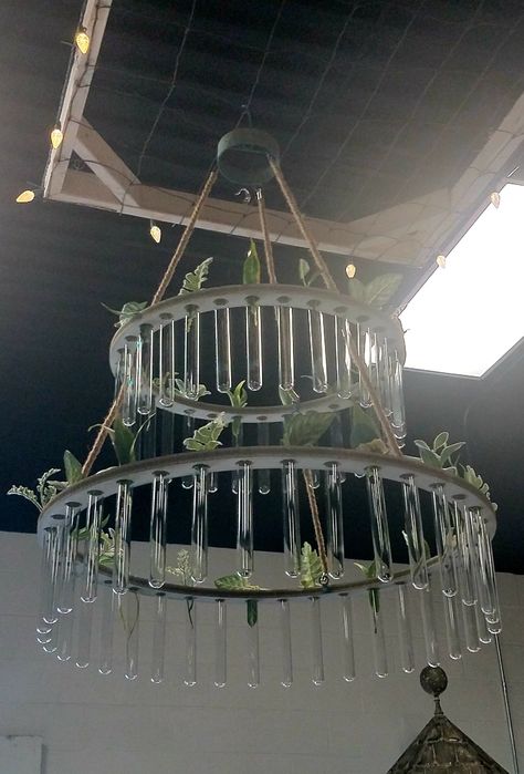 A propagaion chandelier I saw at a consignment shop.  No lights on it but two tears of propagating test tubes.  Really modern decorating look! Hanging Plant Centerpieces, Bathroom Propagation Wall, Propagation Tubes Diy, Propagation Chandelier, Test Tube Wall Decor, Diy Test Tube Planter, Test Tube Chandelier, Plant Chandelier Indoor, Propagation Wall Decor