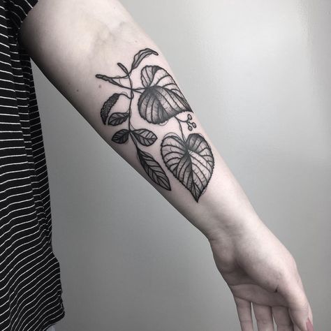 Vera Ickler on Instagram: “Walnut and linden branch as a first one for Jana - thank you!! 🖤” Walnut Tattoo, Drawing Leaves, Related Tattoos, Leaves Tattoo, Funky Nail Art, Cool Arm Tattoos, Tattoo People, Polish Models, Tattoo Cover-up