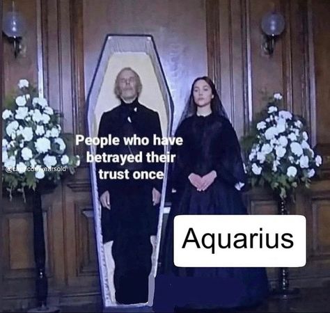 Humour, Sagittarius Moon Sign, Taurus Memes, Sagittarius Season, Sagittarius Girl, Sagittarius Moon, Aquarius Truths, Sagittarius Love, Aries And Aquarius