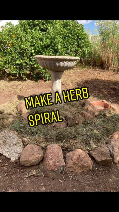 (1)Making a herb spiral for the garden #permaculture #growyourownfood #gardentok #cottagecore Herb Spiral, Spiral Garden, Garden Pond, Grow Your Own Food, Ponds, Permaculture, Fresh Herbs, Backyard Garden, Bird Bath