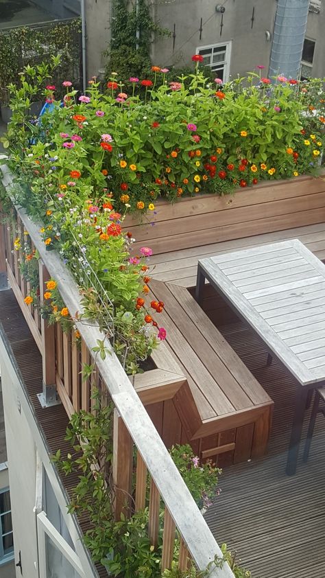 Simple Rooftop Garden Ideas, Garage Rooftop Garden, Rooftop Flower Garden, Rooftop Planter Boxes, Tropical Rooftop Garden, Rooftop Plants Ideas, Small Rooftop Deck, Small Rooftop Garden, Flower Terrace