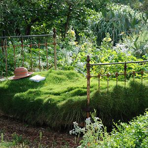 Bed Garden Shed Inspiration, Garden Ideas To Make, Bohemian Garden, Grasses Landscaping, Garden Area, Creative Gardening, Enchanted Garden, Old Furniture, Small Gardens